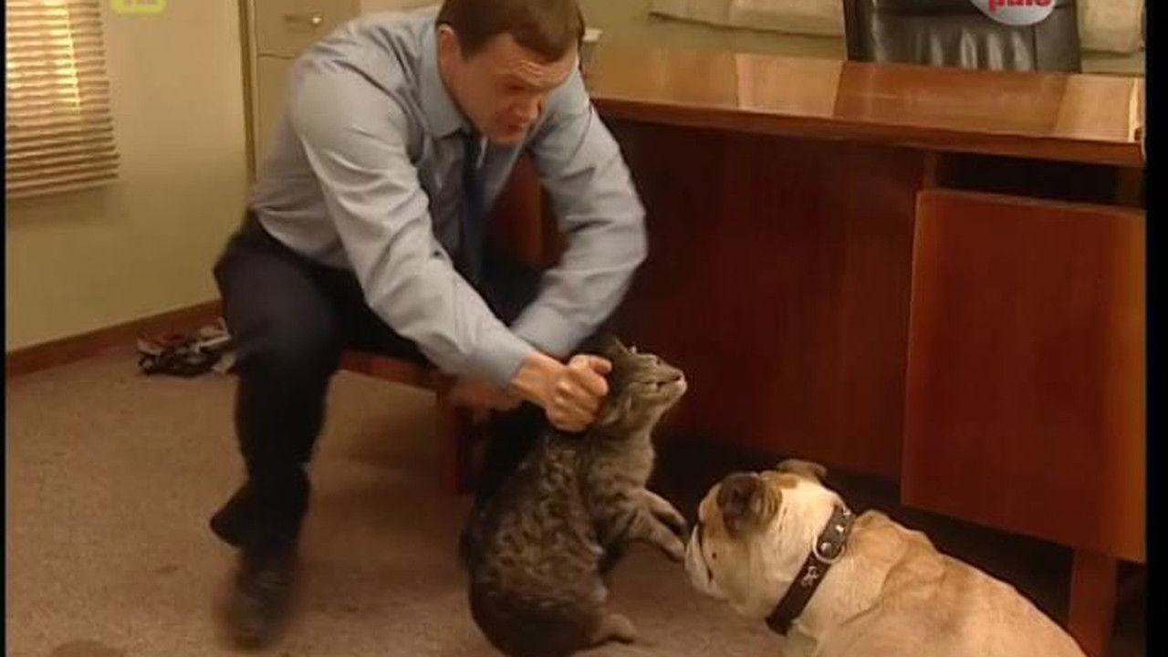 13 posterunek — Épisode 37