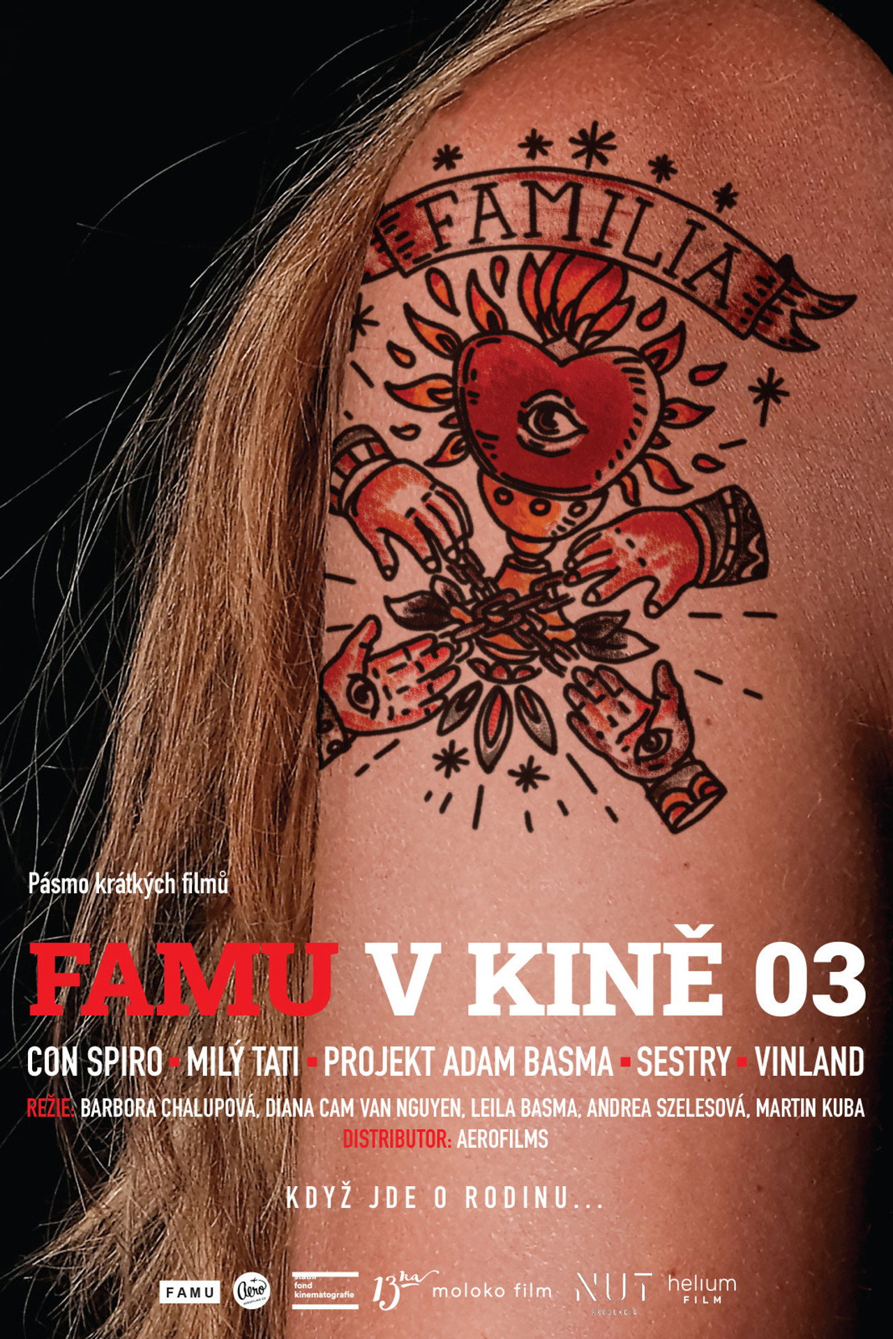 FAMU v kině 03 filmaffisch