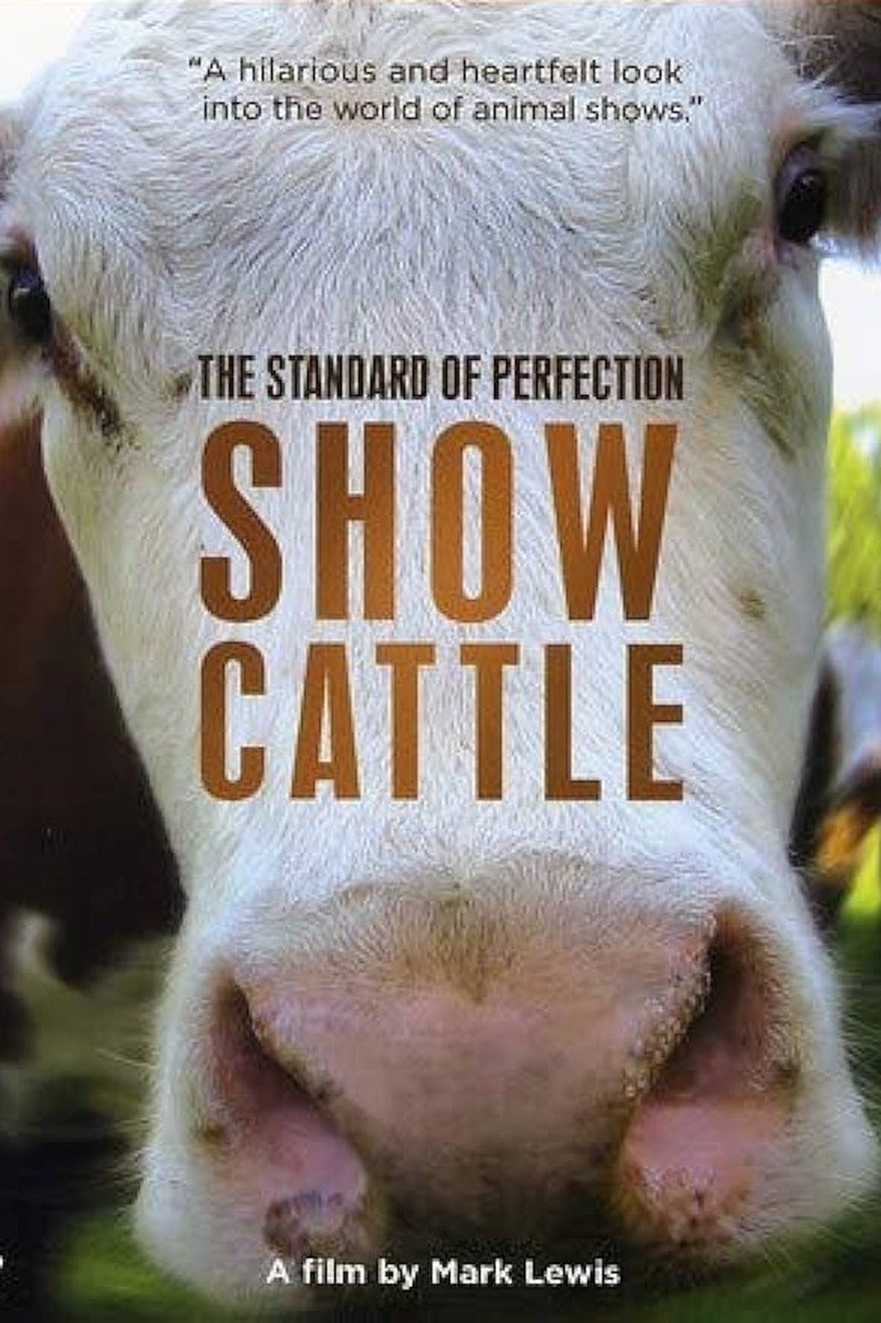 مشاهدة فيلم The Standard of Perfection: Show Cattle مترجم بدون اعلانات - بوستر