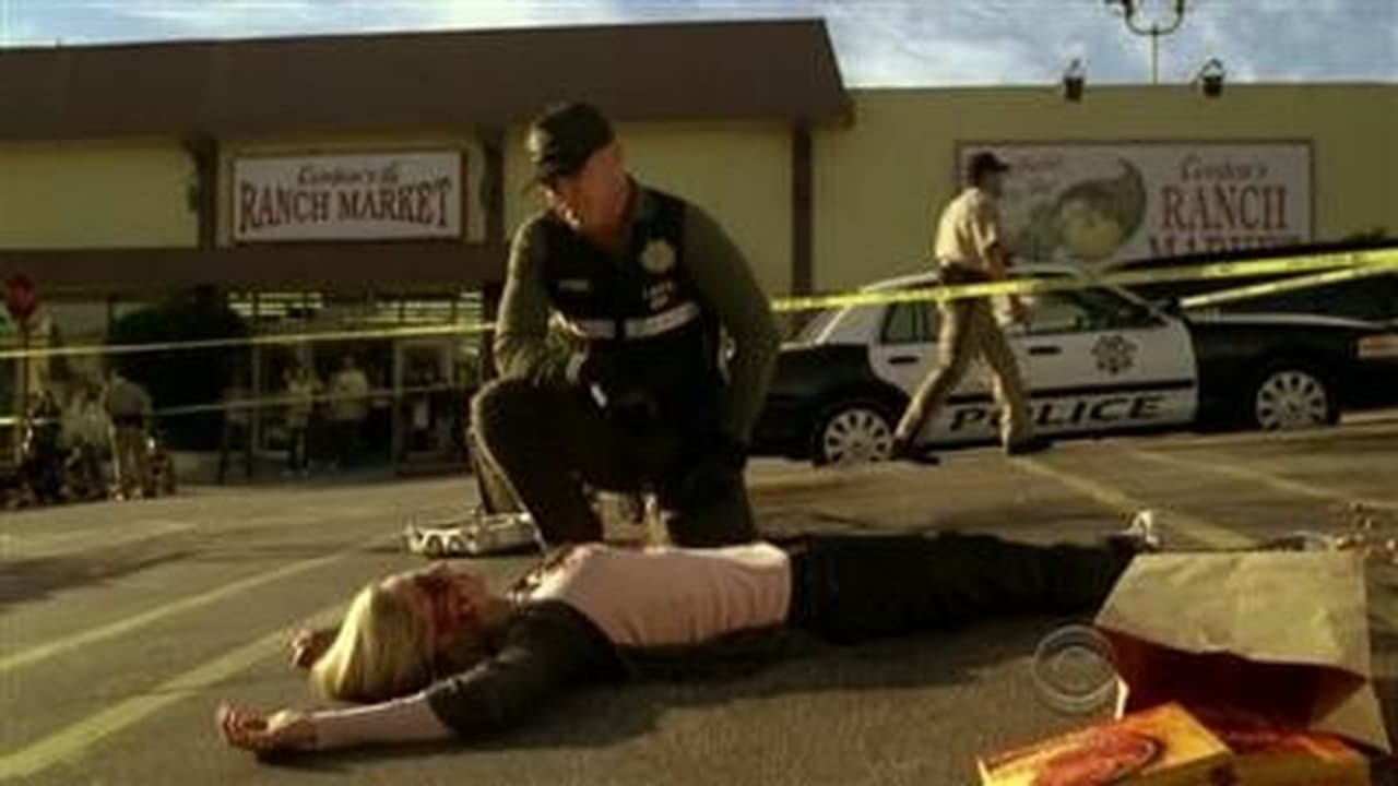 CSI: Crime Scene Investigation - Season 11 Episode 10 : 418/427