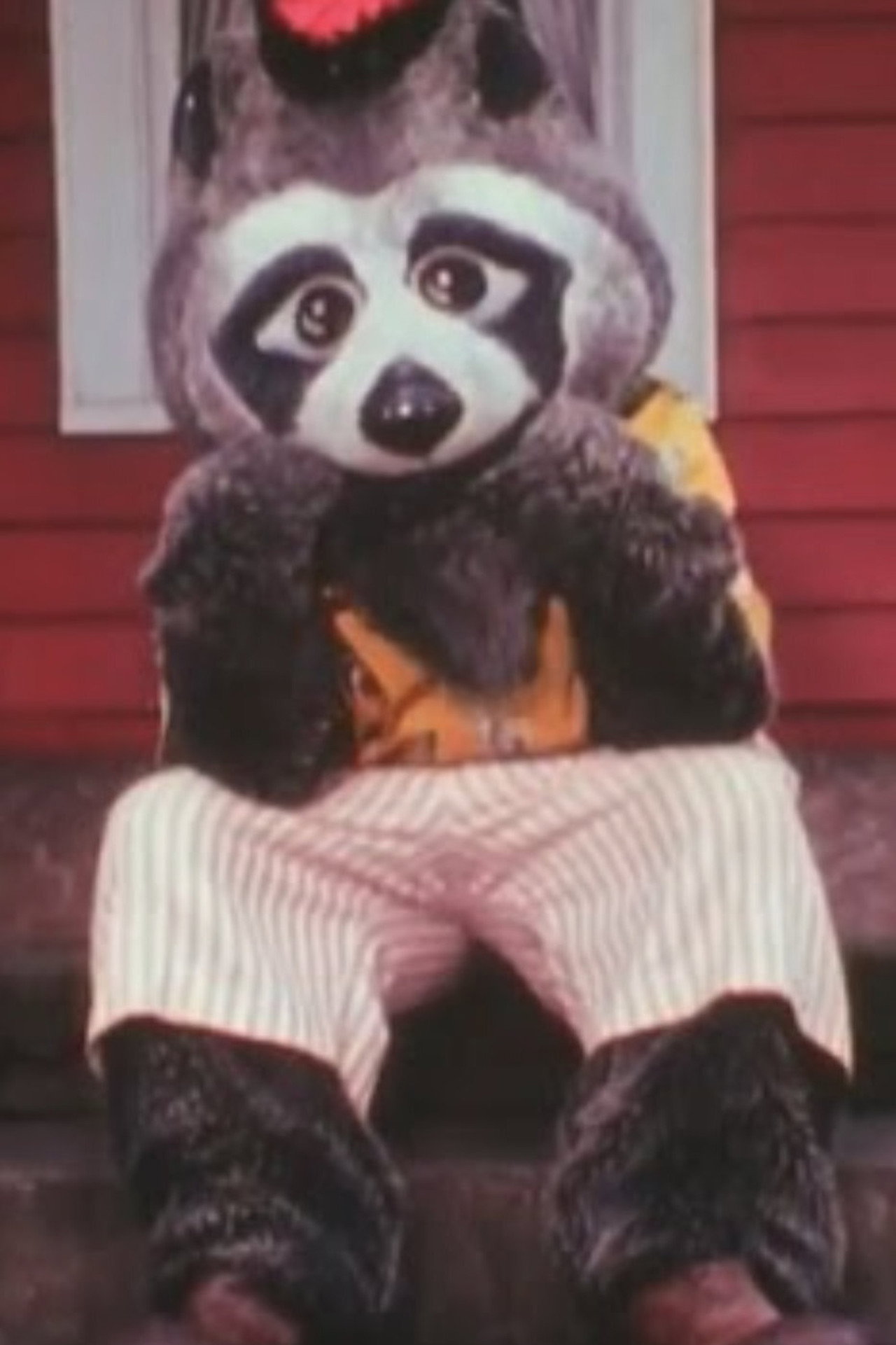 Ricky Raccoon Shows the Way filmaffisch