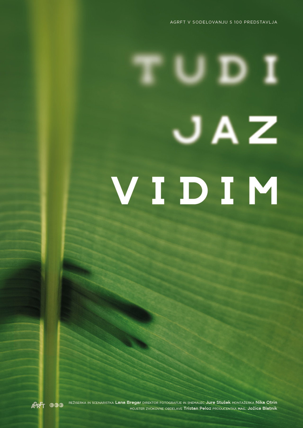 Tudi jaz vidim filmaffisch