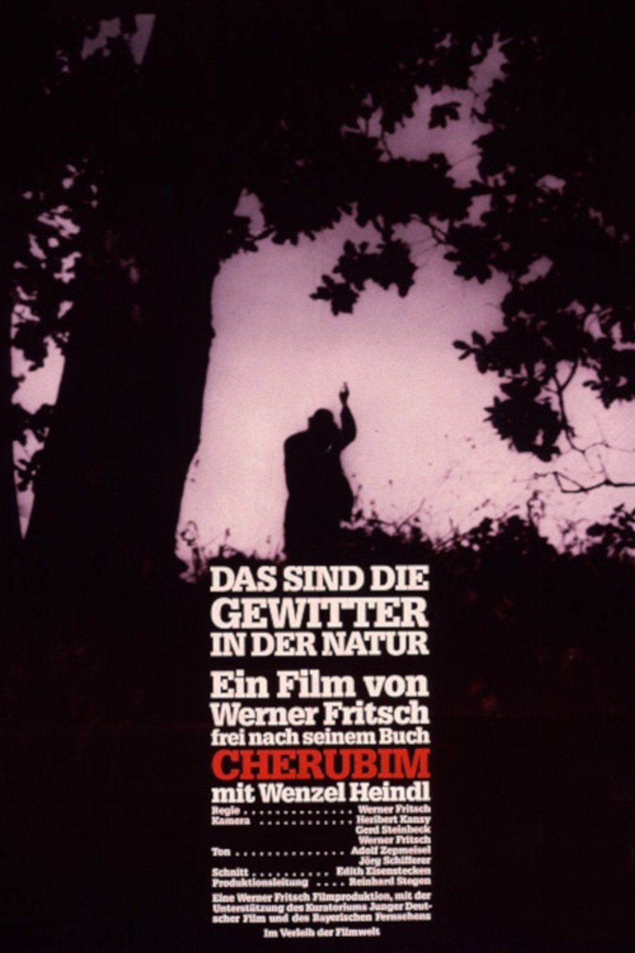 Das sind die Gewitter in der Natur filmaffisch