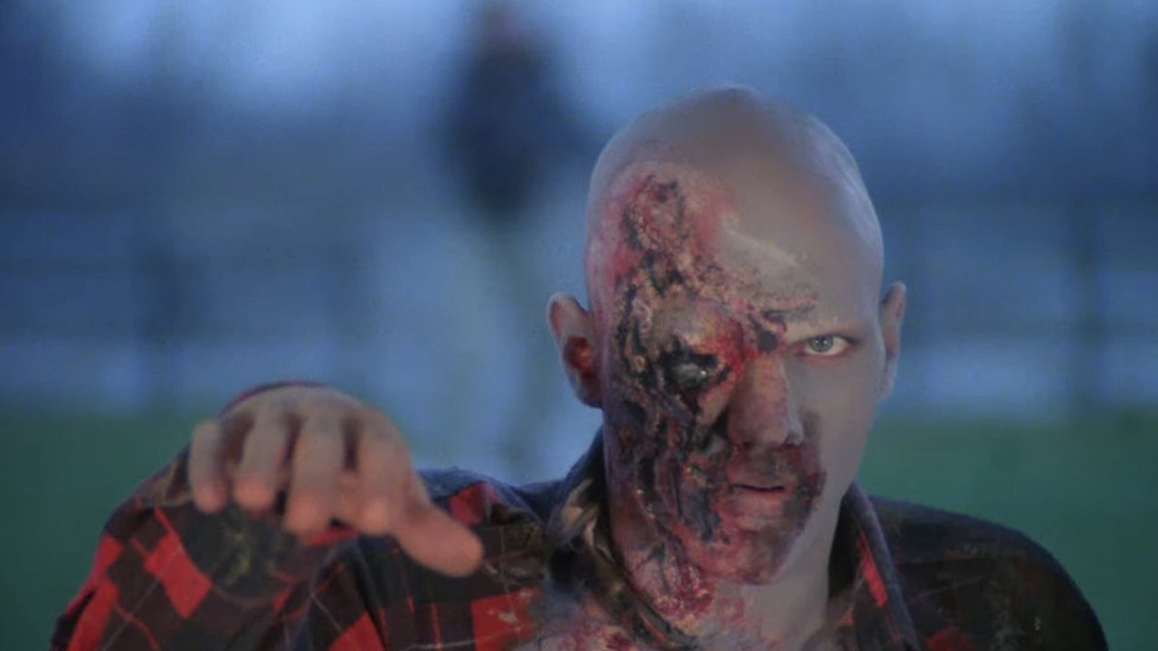 Dawn of the Dead (1978)