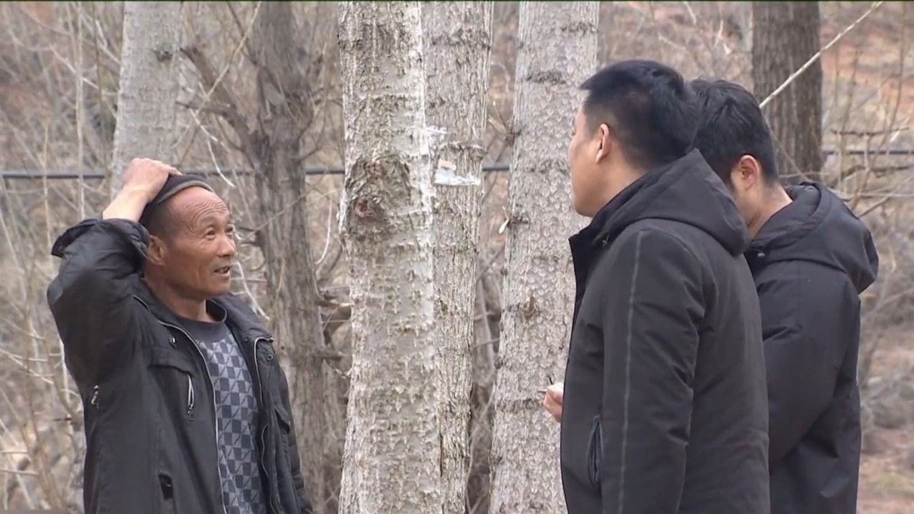 传奇故事 — Épisode 241