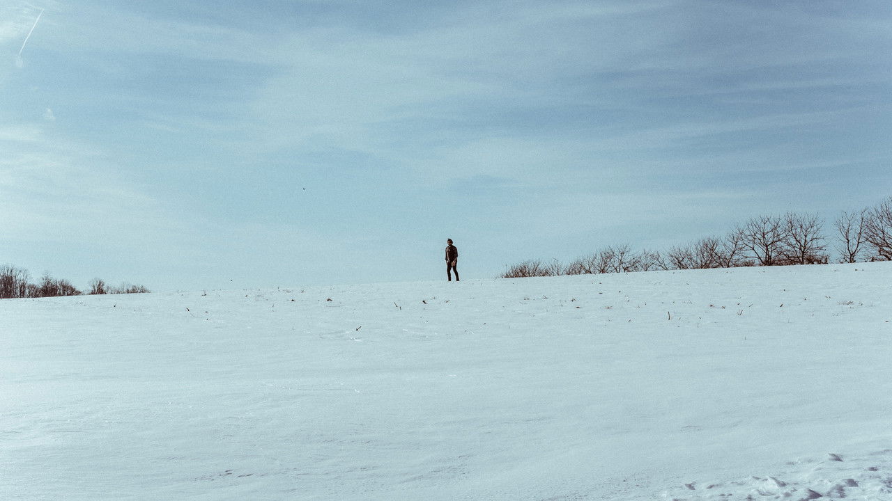 All That You Love Will Be Carried Away backdrop