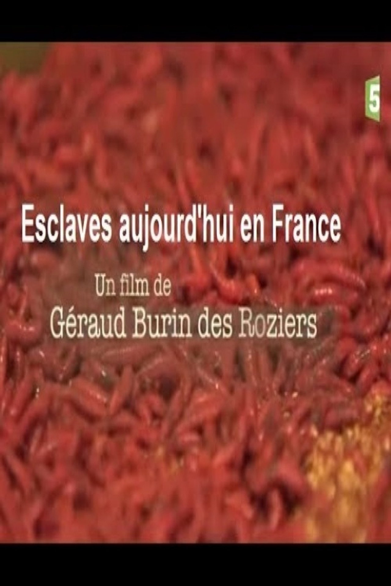 Esclaves aujourd'hui en France