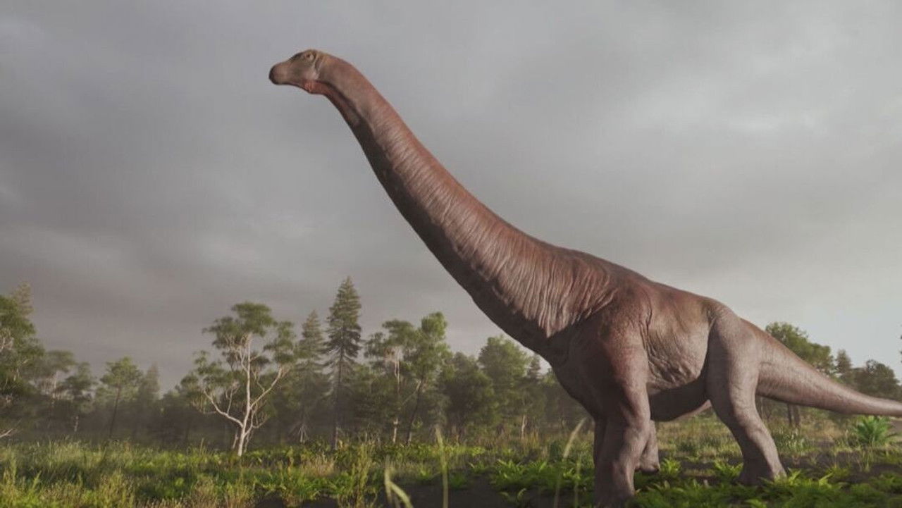 Lost Beasts — Épisode 1