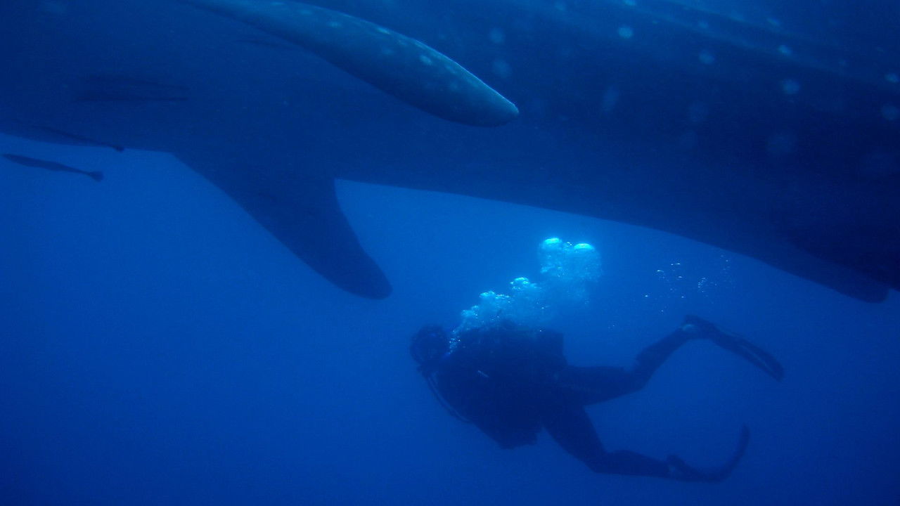 Deadly 60 — Épisode 7