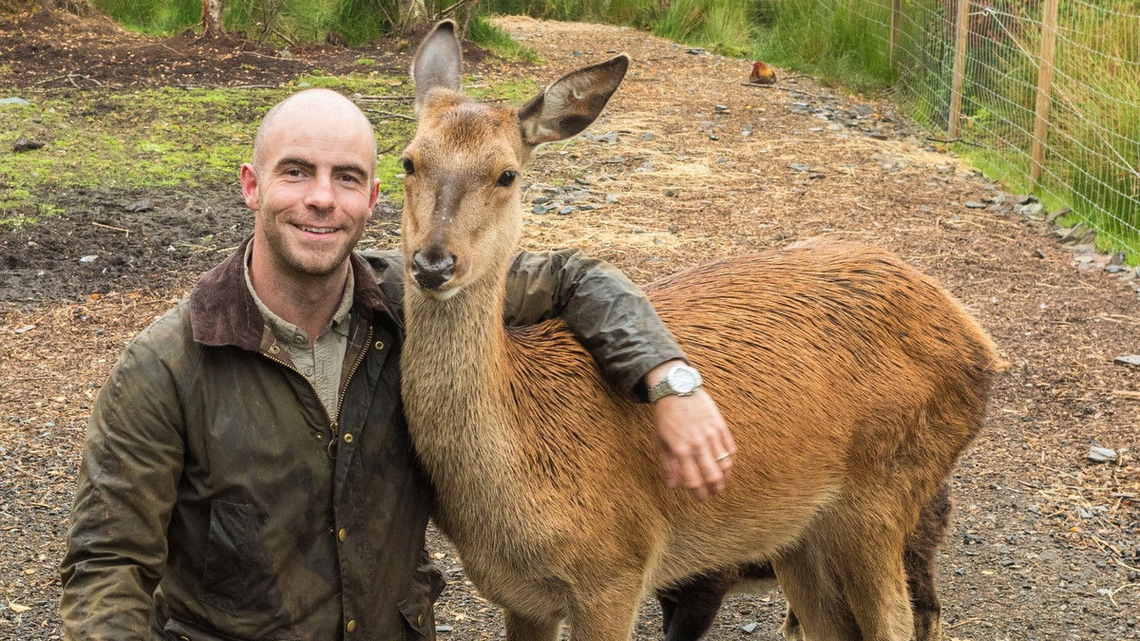 Return of the Wild: The Bearman of Buncrana — Épisode 2