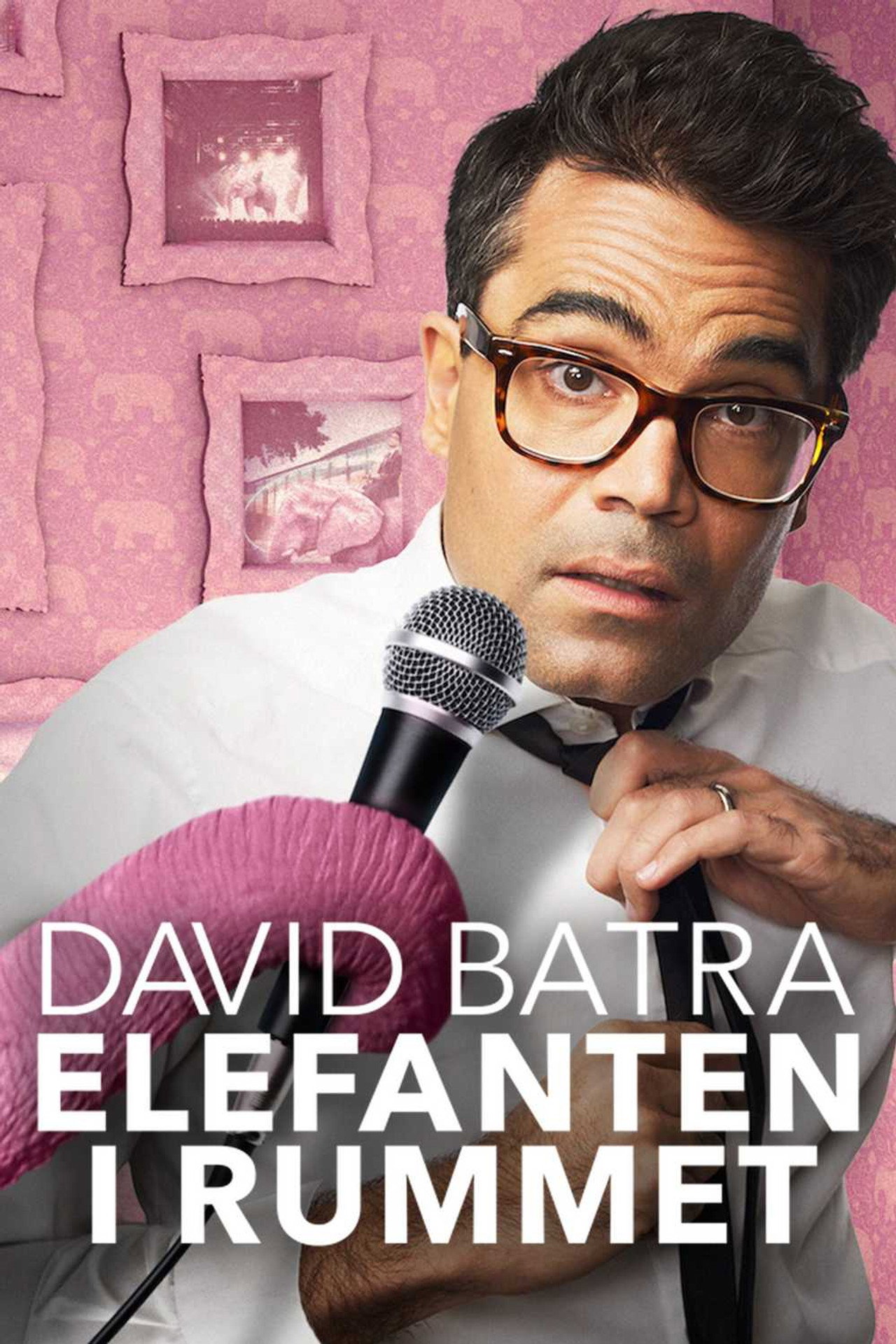 David Batra: Elefanten i Rummet filmaffisch