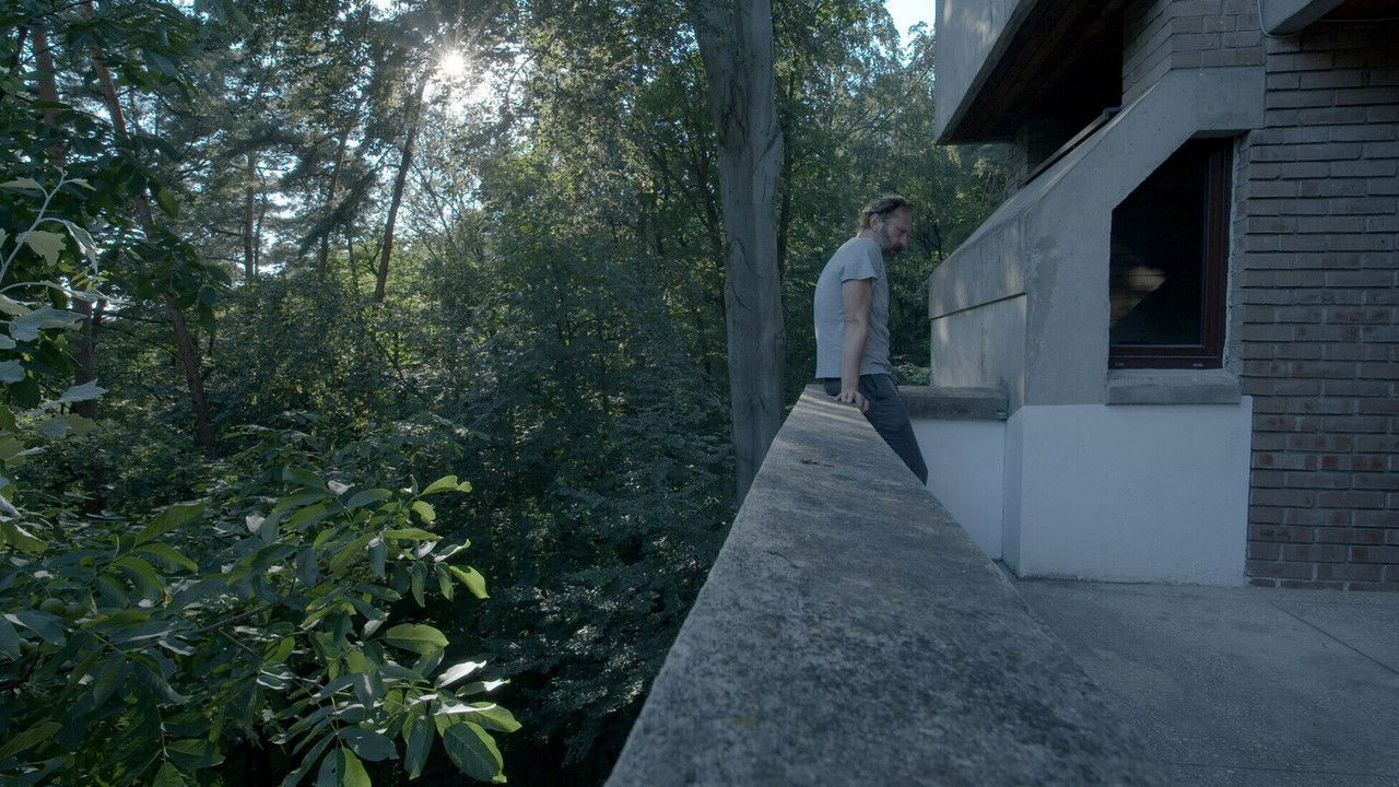 We Haven't Lost Our Way backdrop