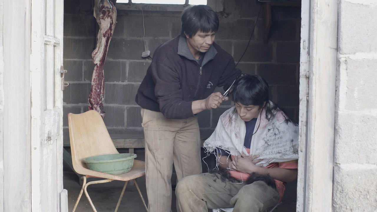 Comparsa still 2