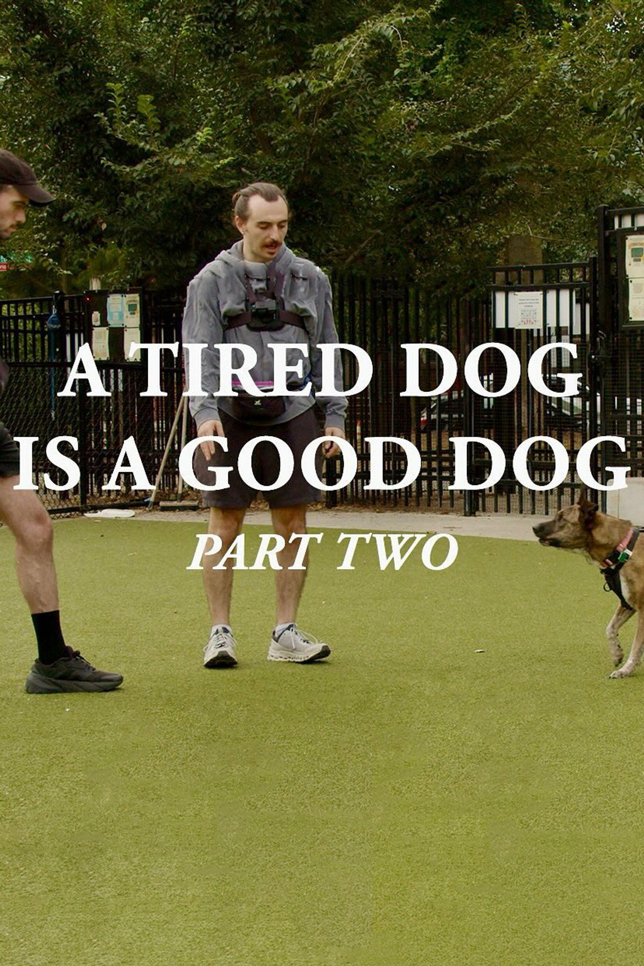 A Tired Dog is a Good Dog, Part Two