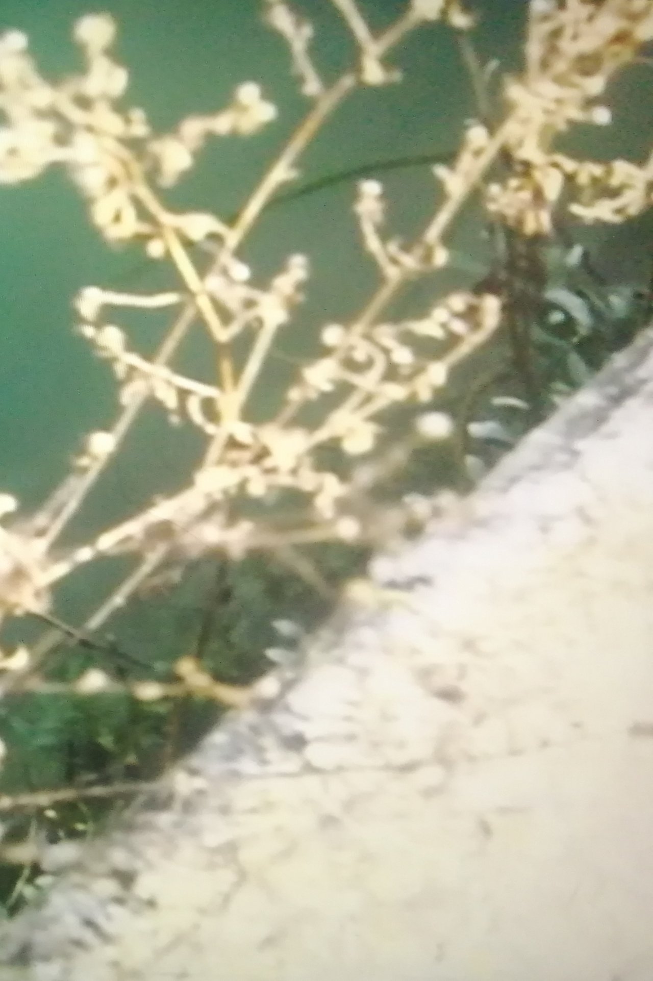 Conversation with Two Lovers