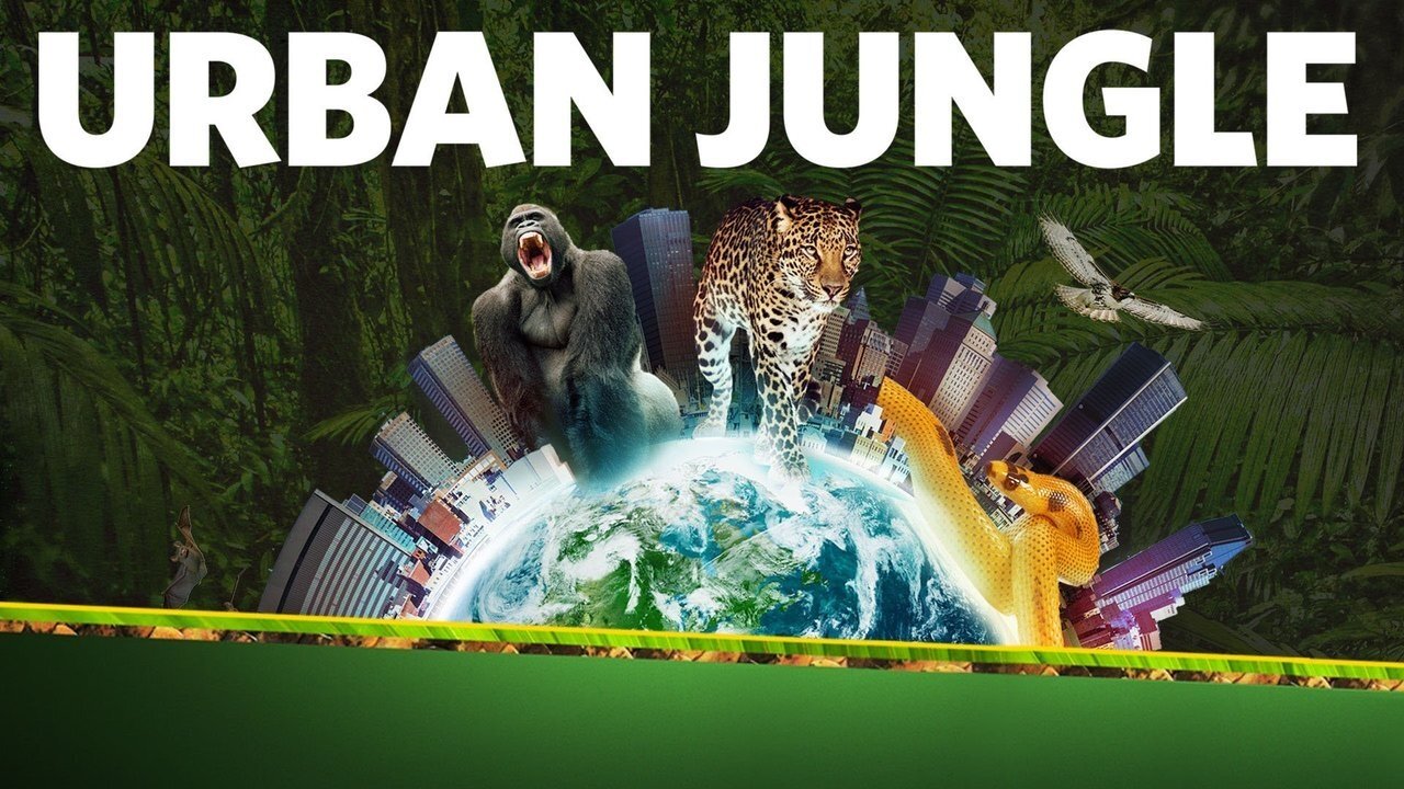 Urban Jungle (2014)