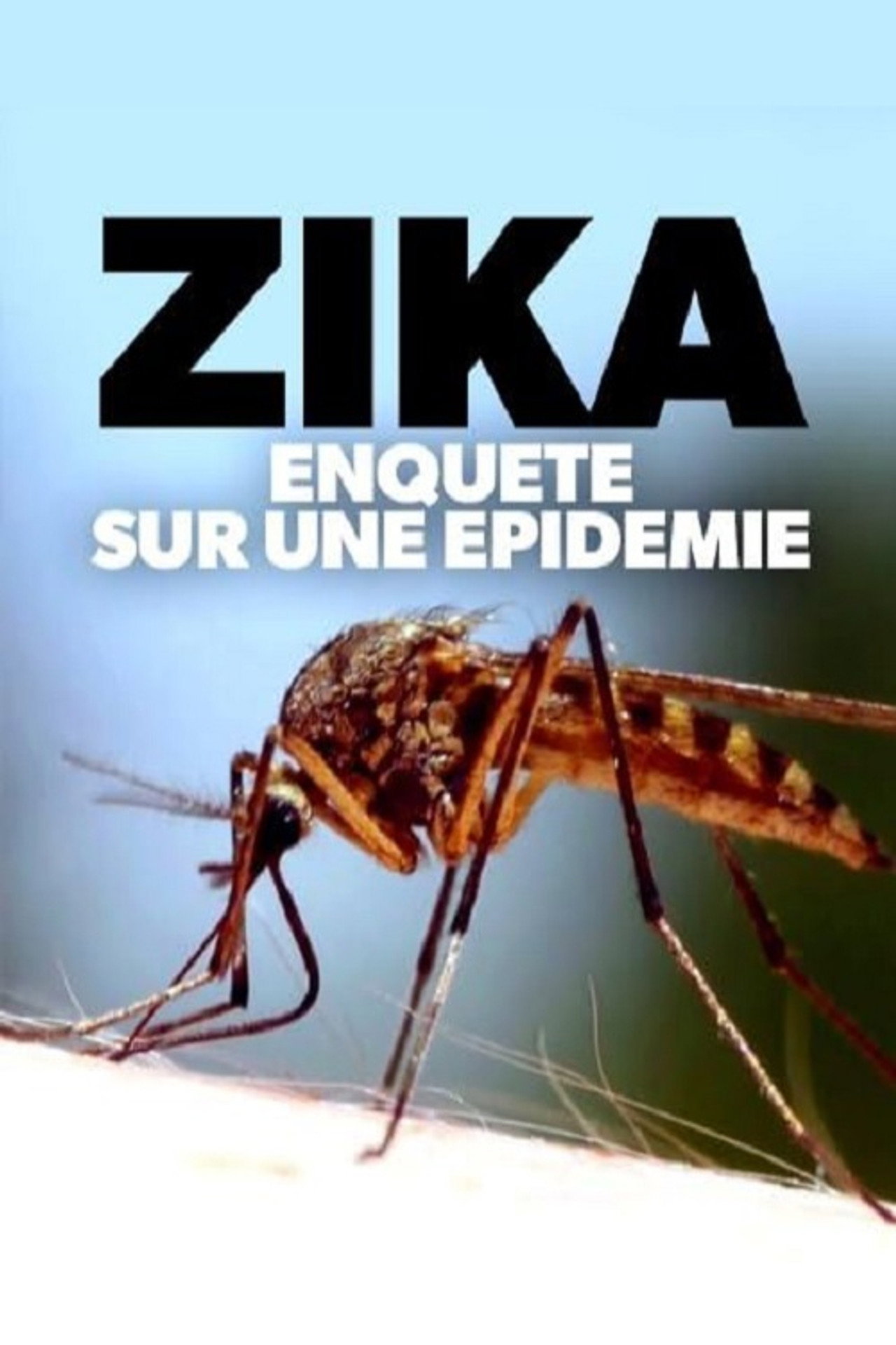 Zika, enquête sur une épidémie filmaffisch