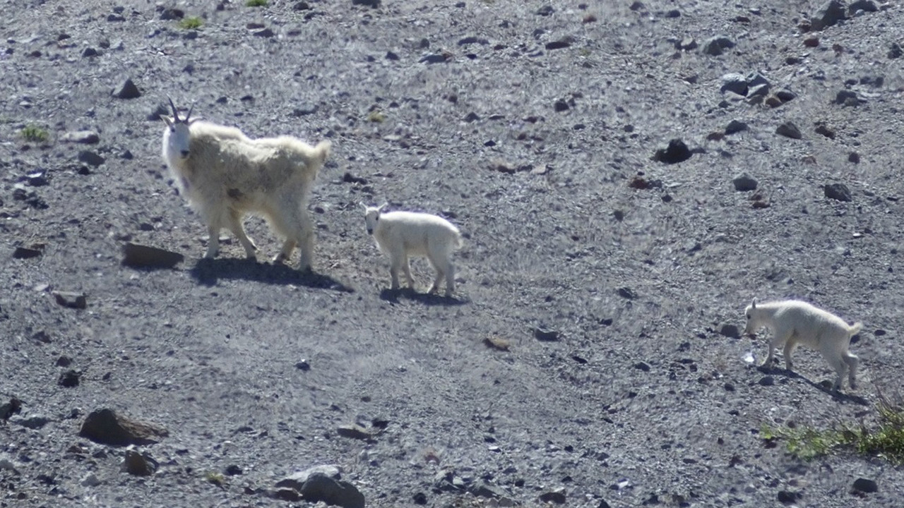 Oregon Field Guide — Épisode 7