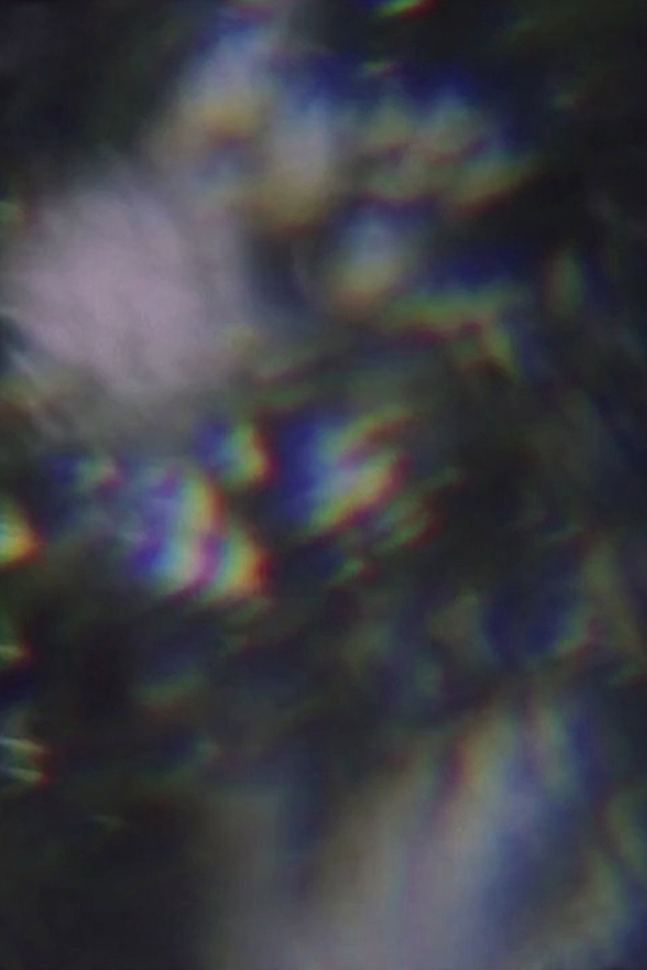 A Tree Is Like A Man (2019)