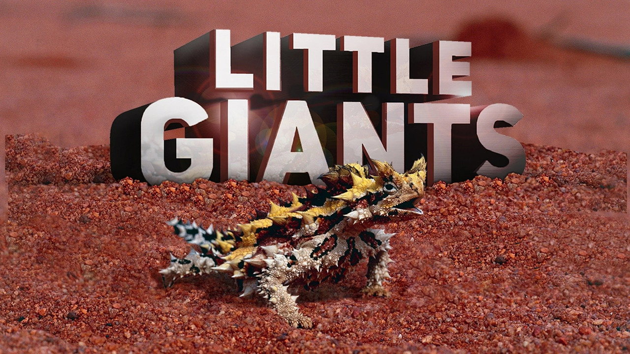 Little Giants still 4
