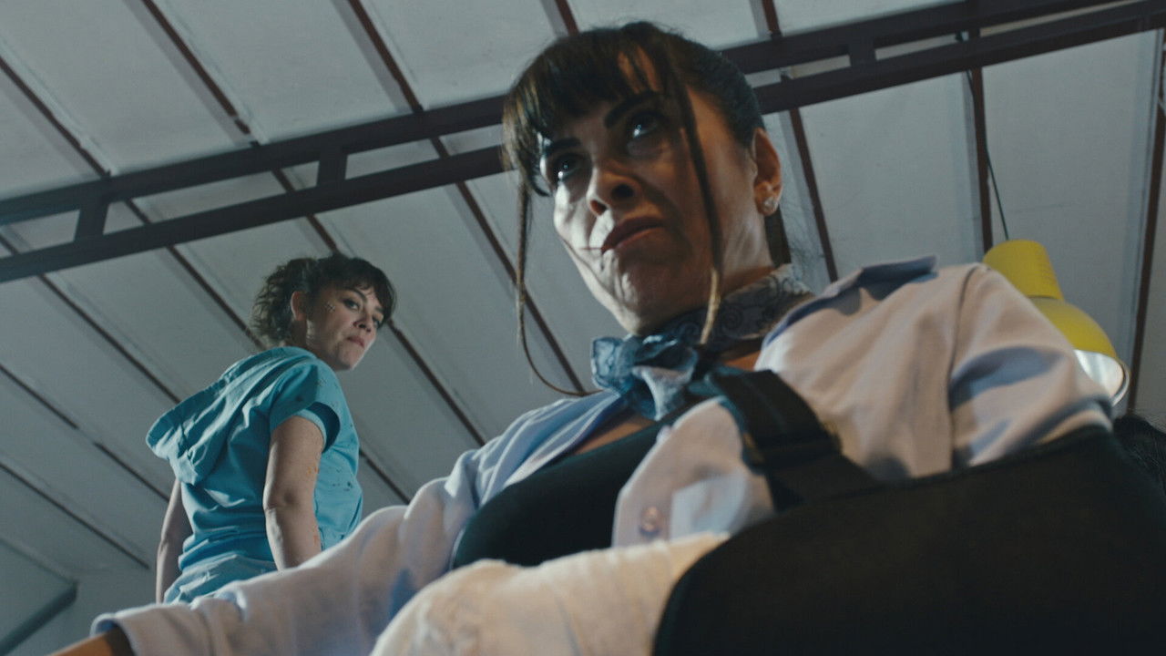 Avlu — Épisode 11