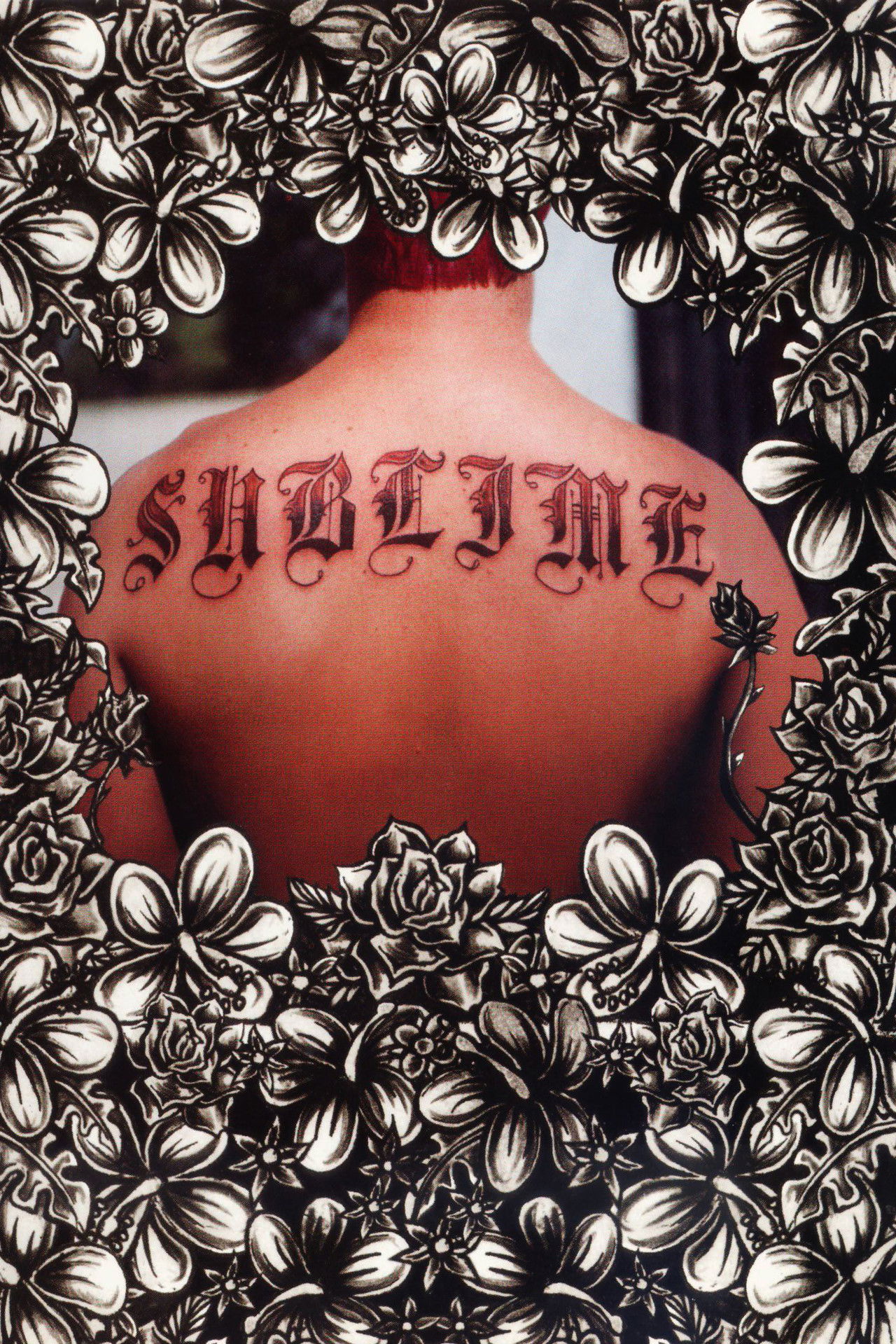 Sublime | Sublime Backdrop