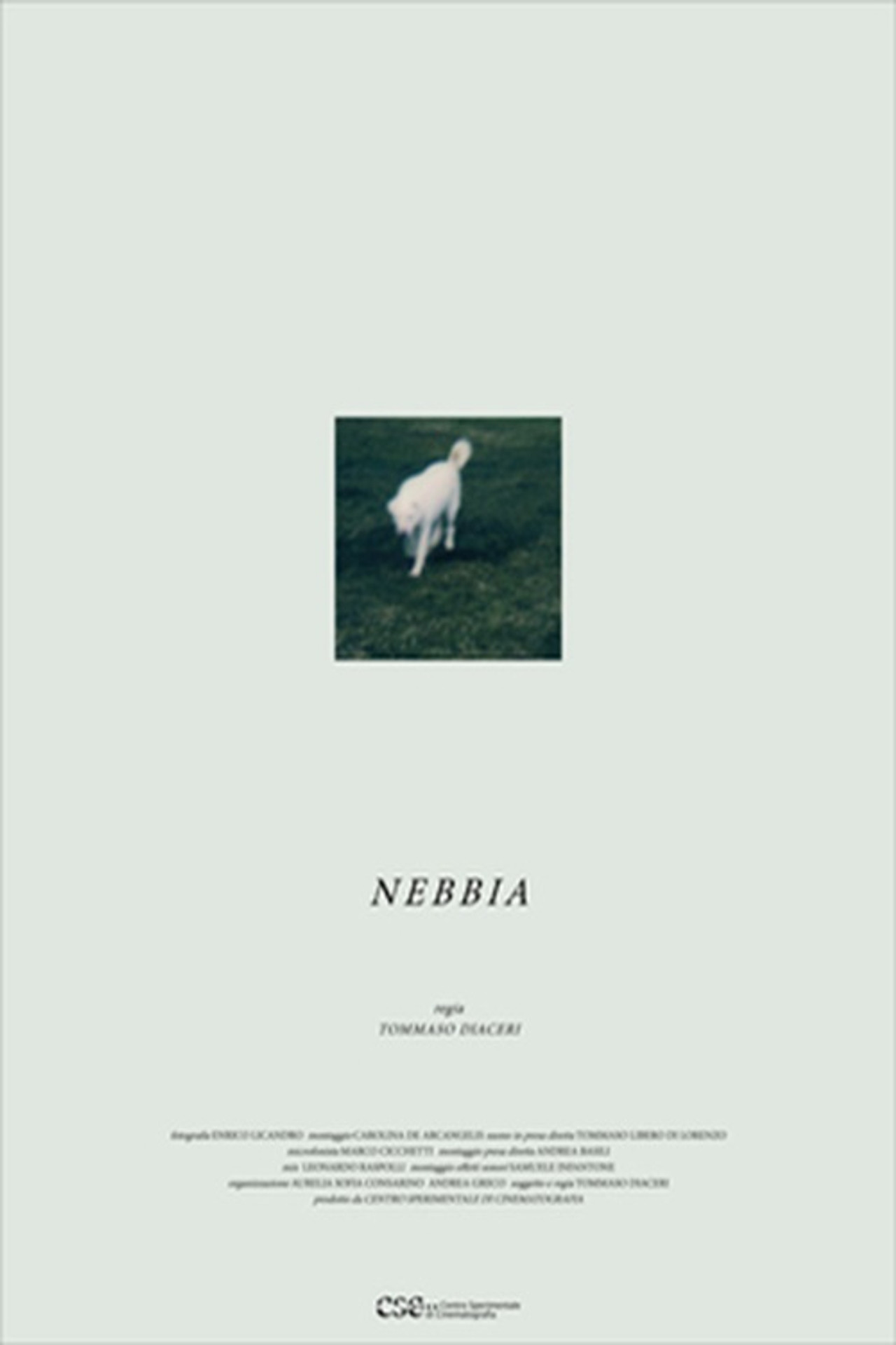 Nebbia filmaffisch