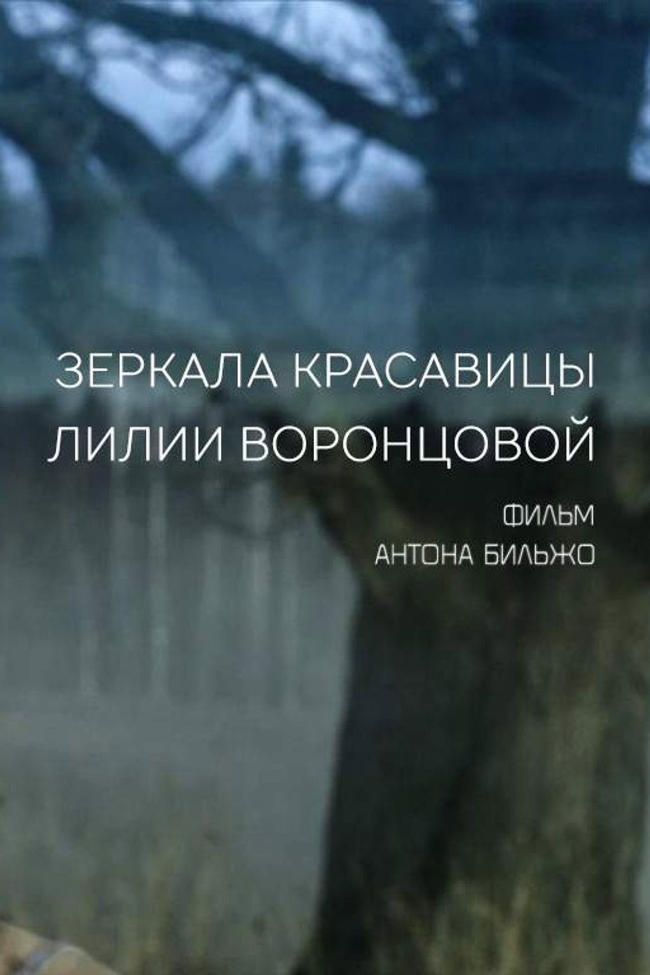 Зеркала красавицы Лилии Воронцовой filmaffisch