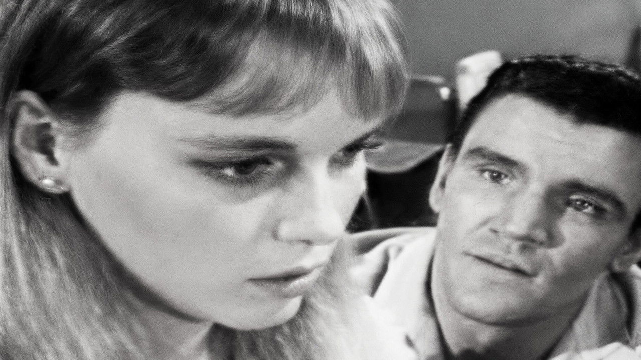 Peyton Place — Épisode 42