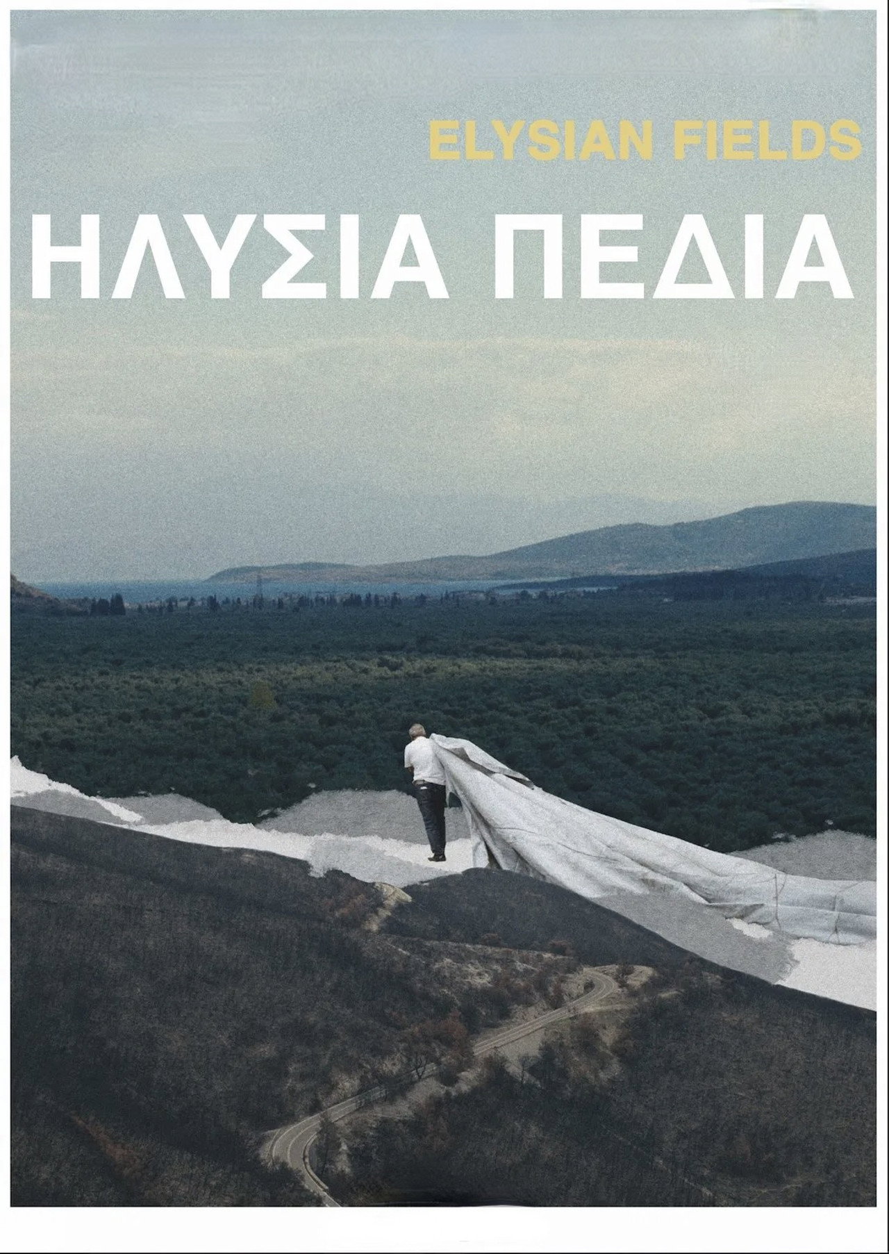 posters 4