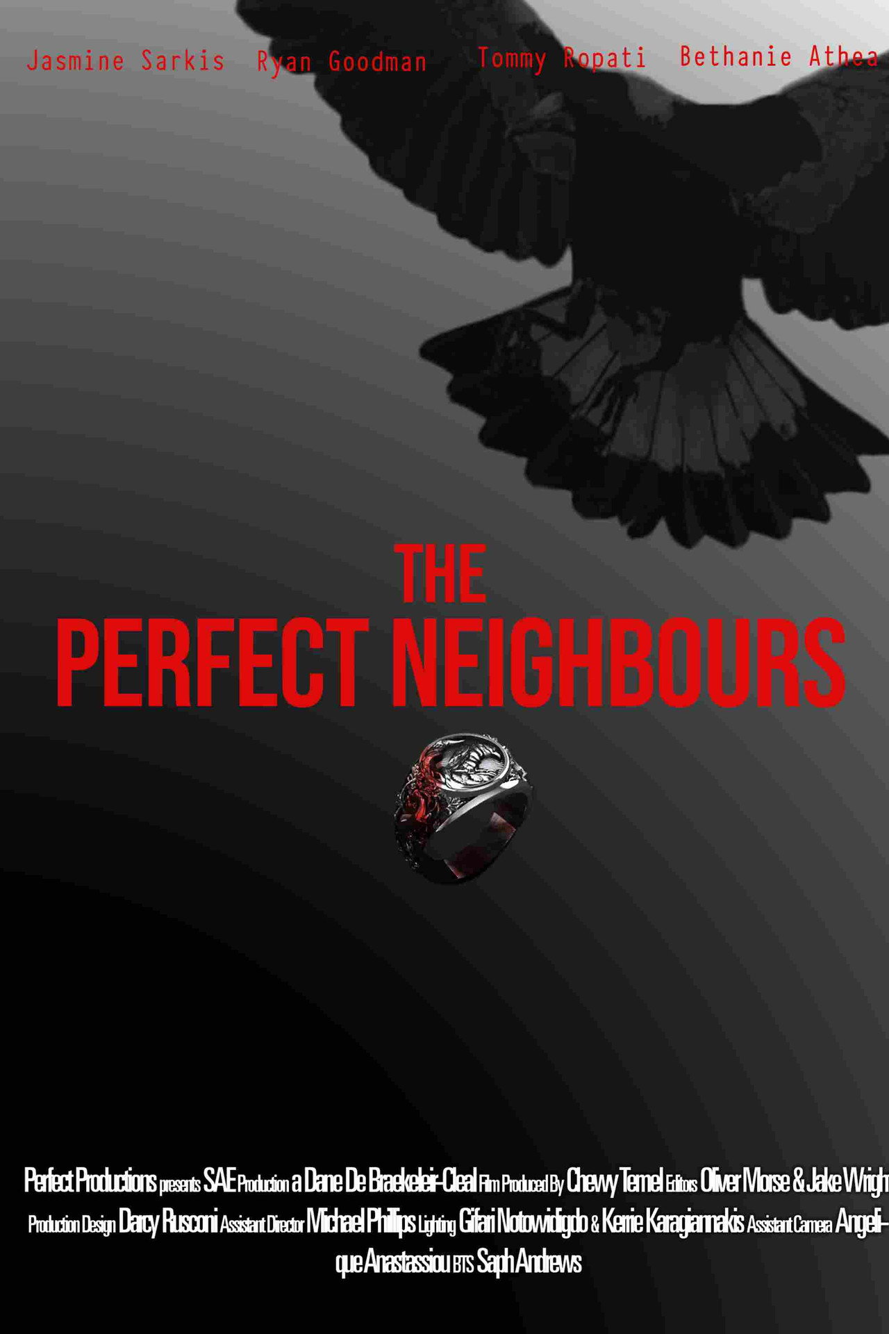 The Perfect Neighbours filmaffisch