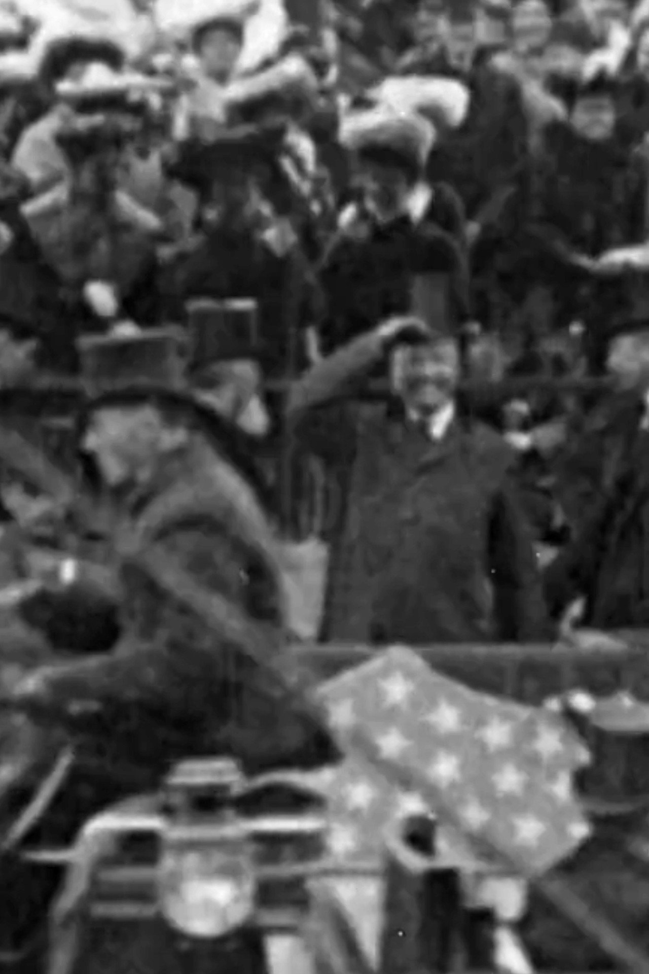 Pres. Roosevelt at the Dedication Ceremonies, St. Louis Exposition Backdrop