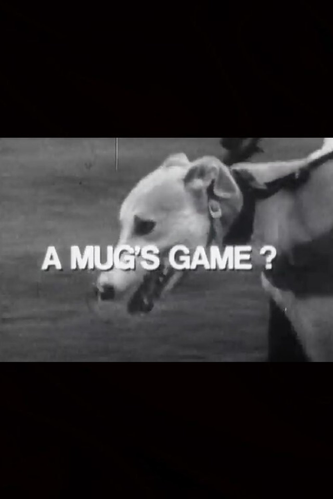 A Mug's Game? A Mug's Game?