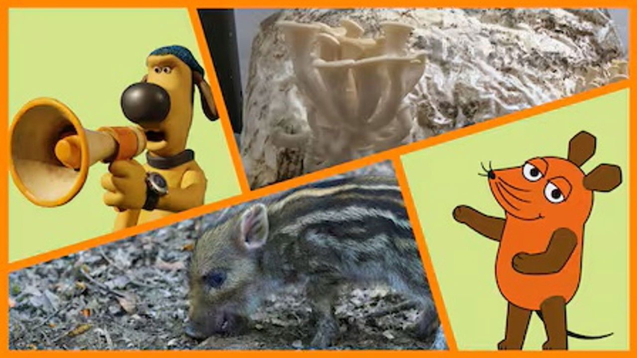 Die Sendung mit der Maus — Épisode 9