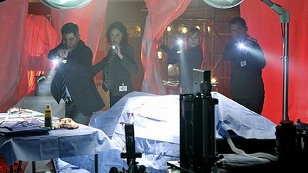 CSI: Crime Scene Investigation - Season 11 Episode 21 : Cello and Goodbye (2)