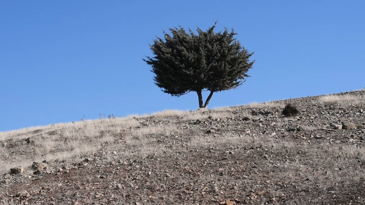 title image