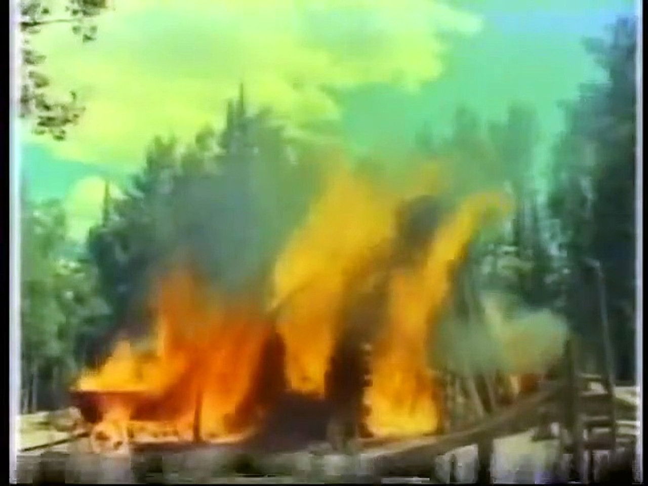 Mon amie Flicka — L'Anniversaire