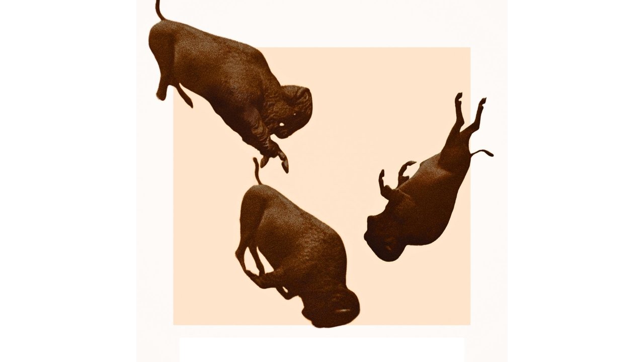 title image
