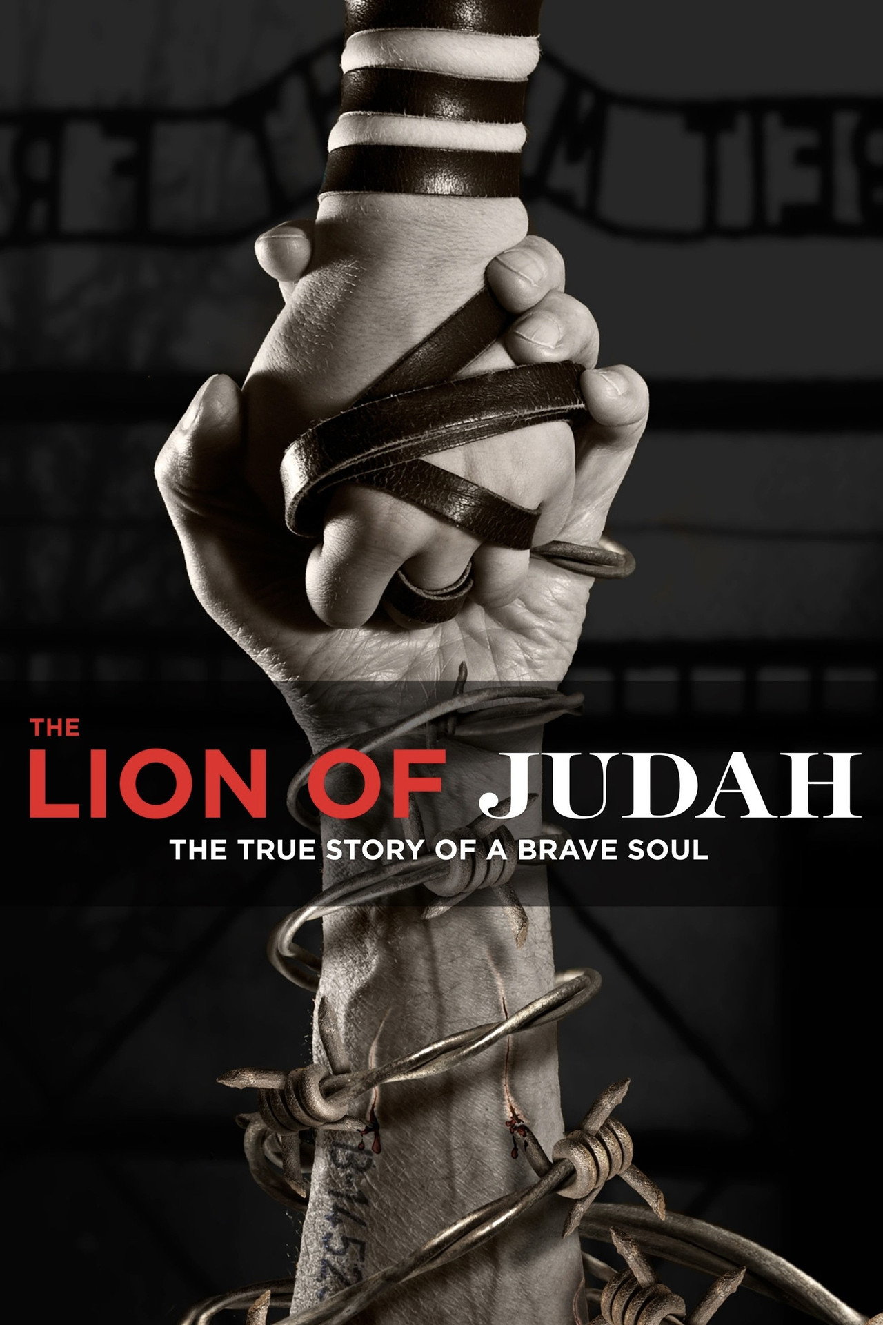 The Lion of Judah filmaffisch