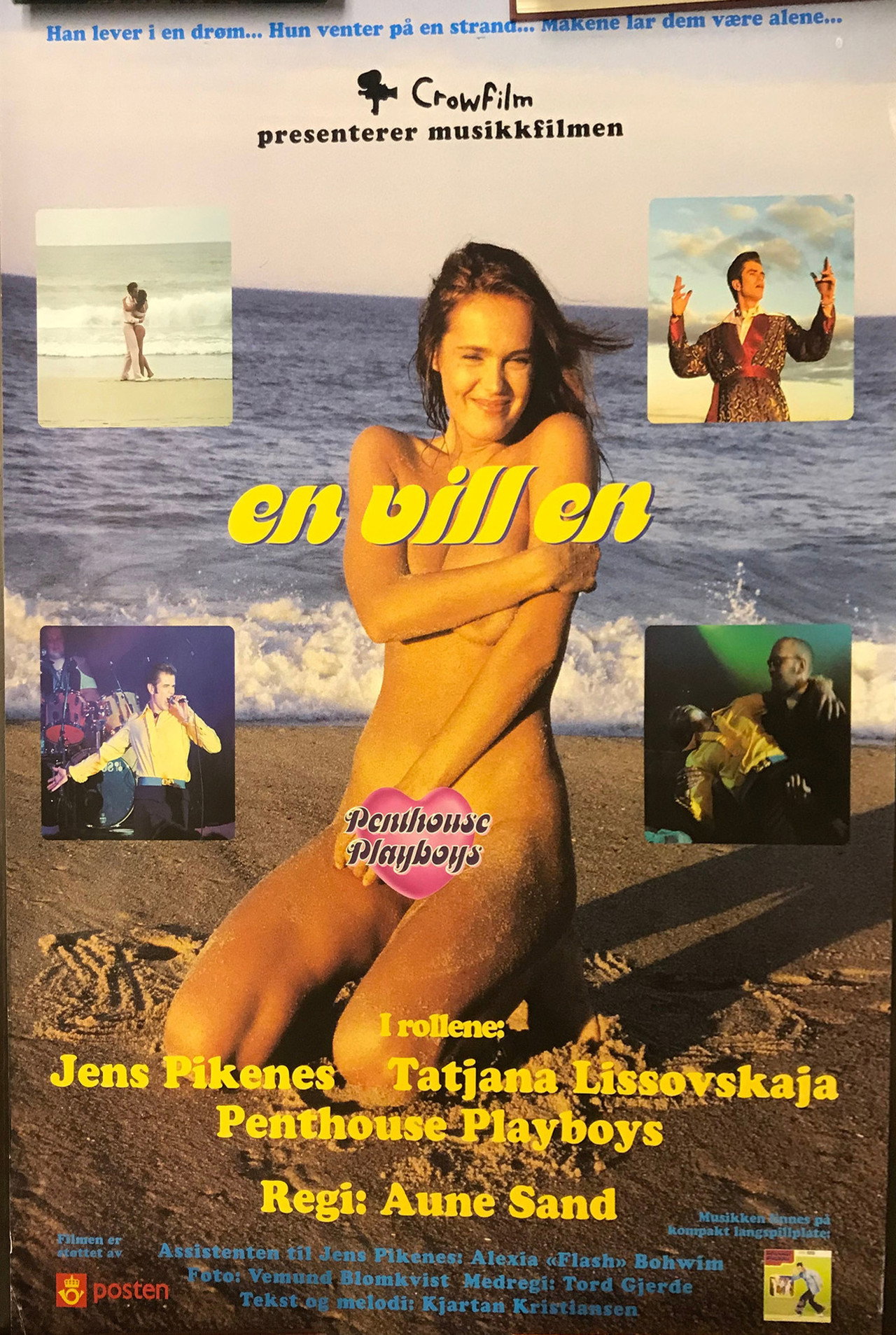 En vill en filmaffisch