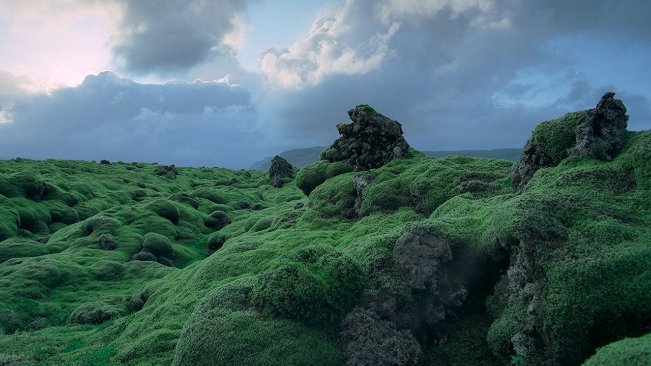 Voyage of Time: The IMAX Experience