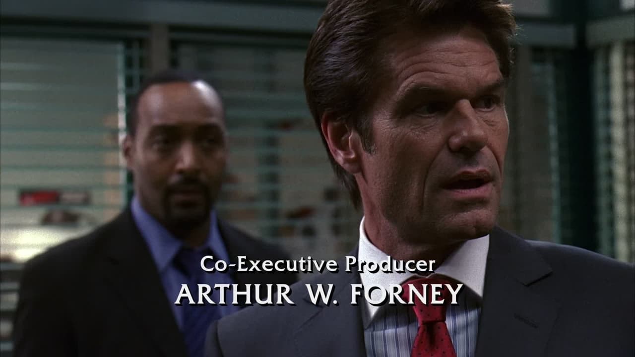 Law & Order - Season 17 Episode 22 : The Family Hour