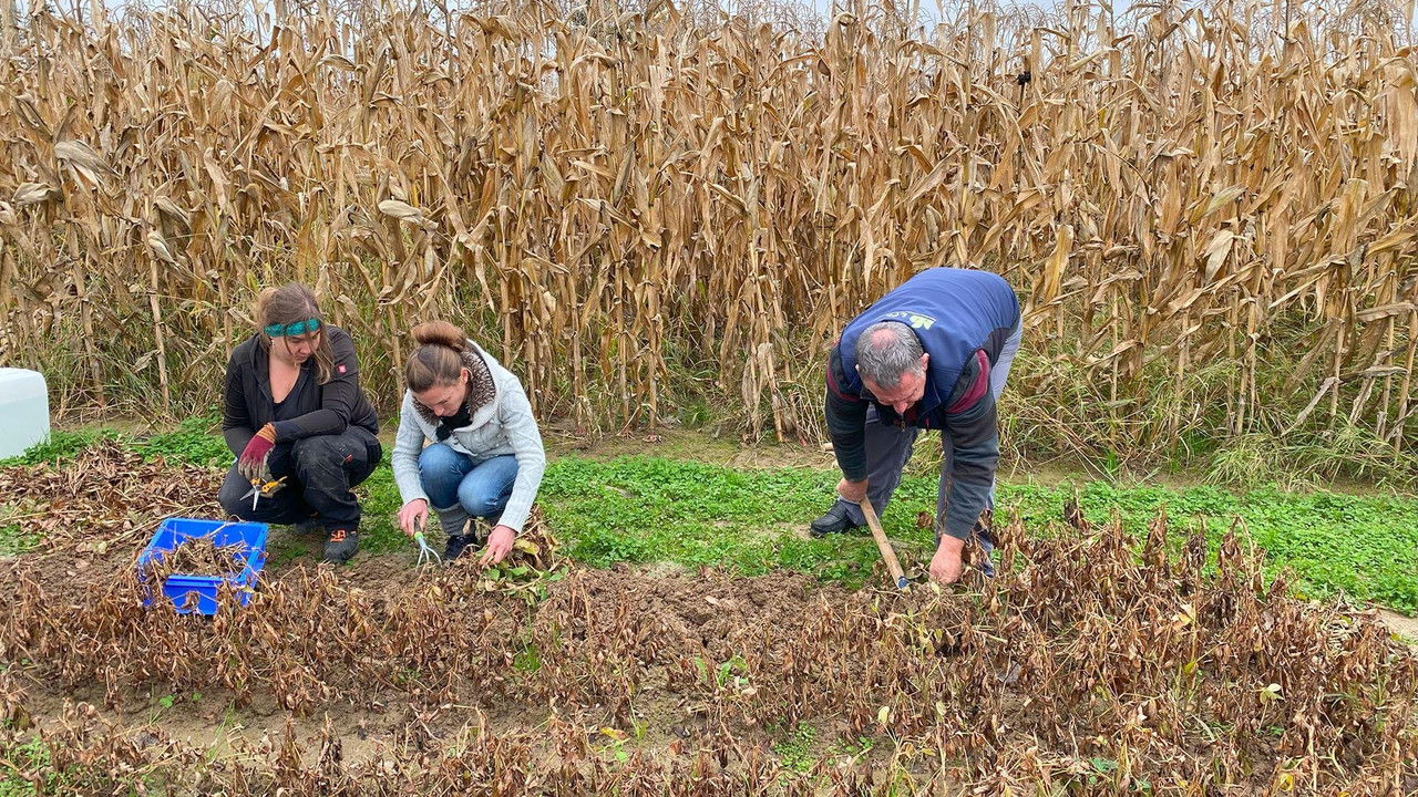 Revolution auf dem Acker - Wo die Zukunft wächst