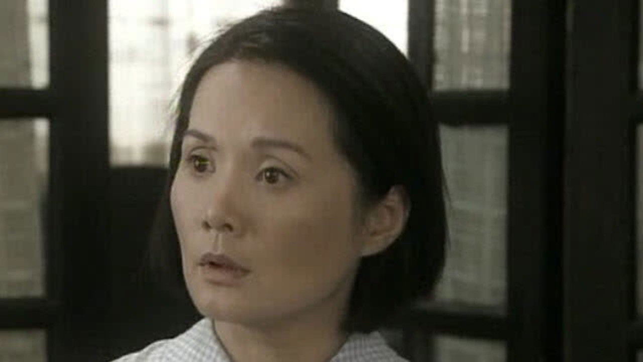 敌特在行动 — Épisode 23