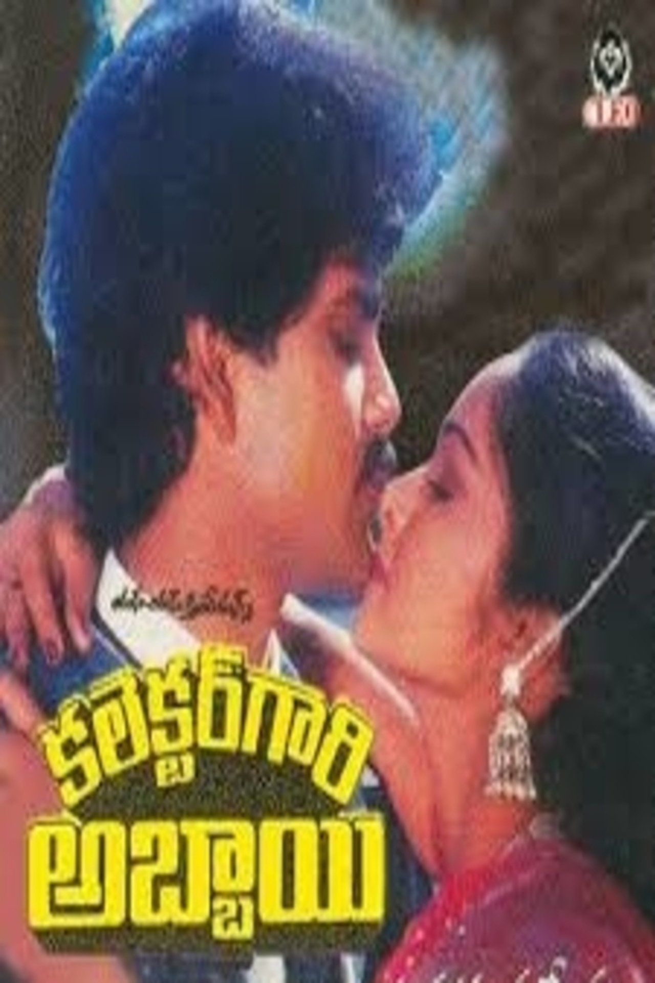 కలెక్టర్ గారి అబ్బాయి కలెక్టర్ గారి అబ్బాయి