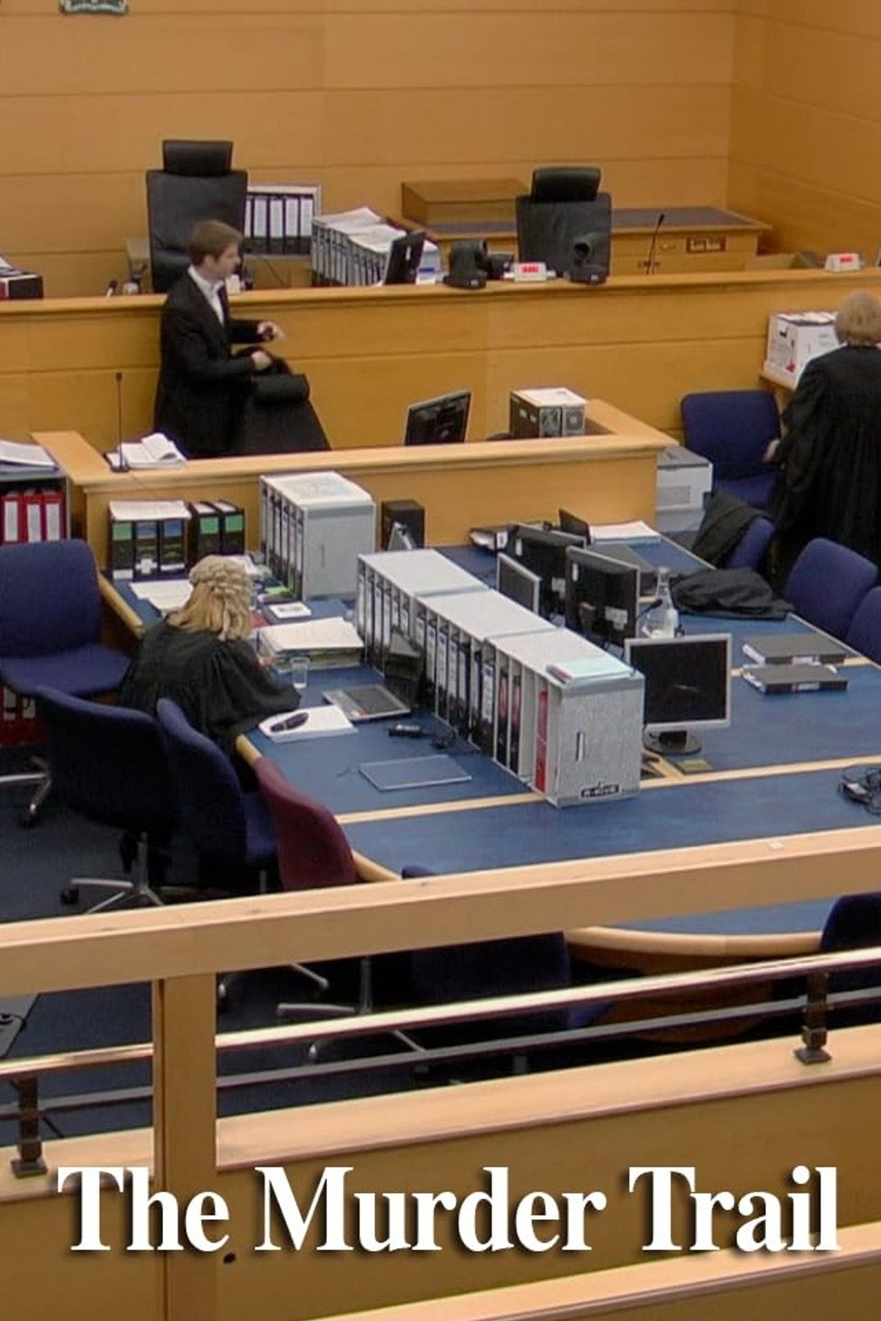 The Murder Trial filmaffisch