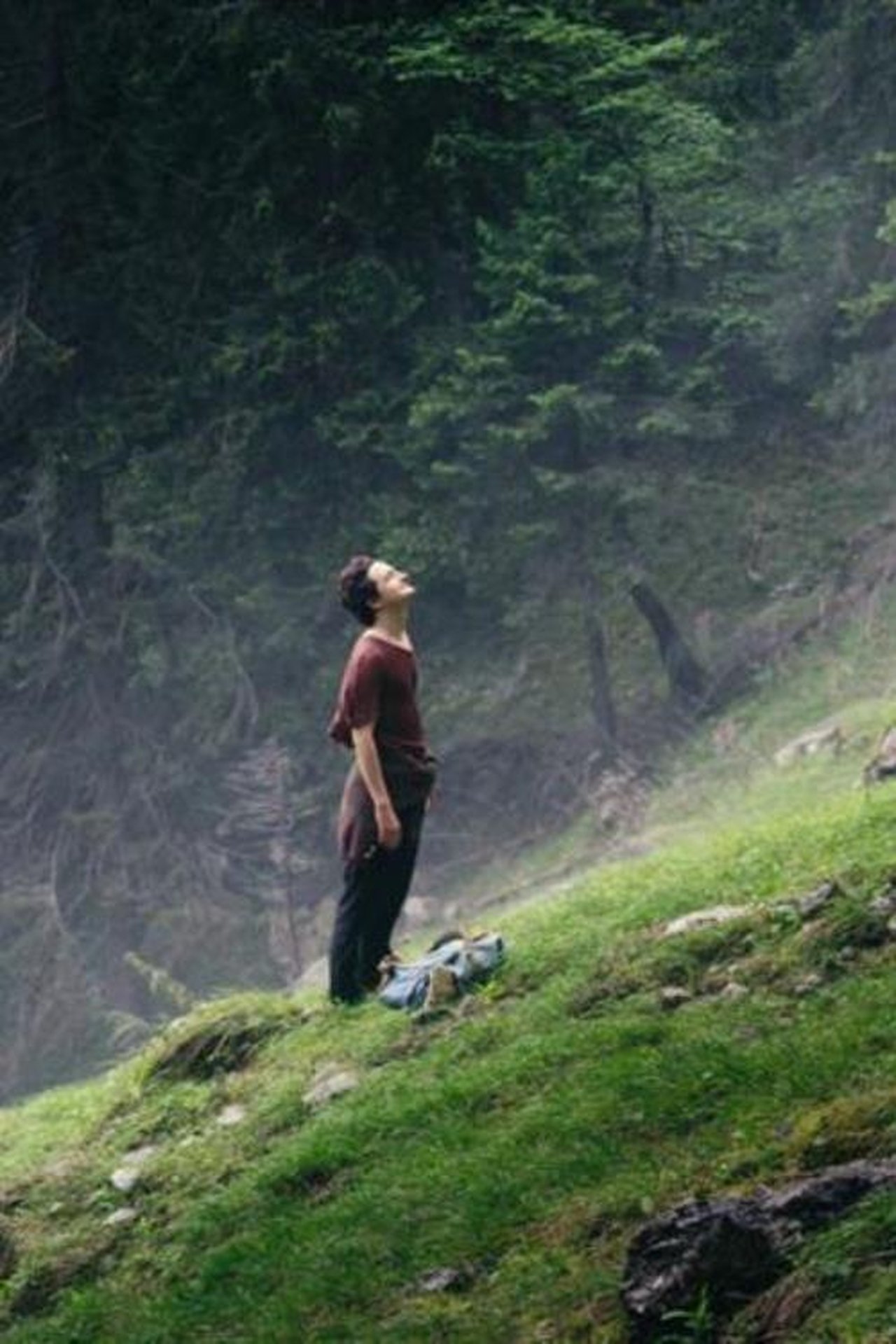Der Wanderer Der Wanderer