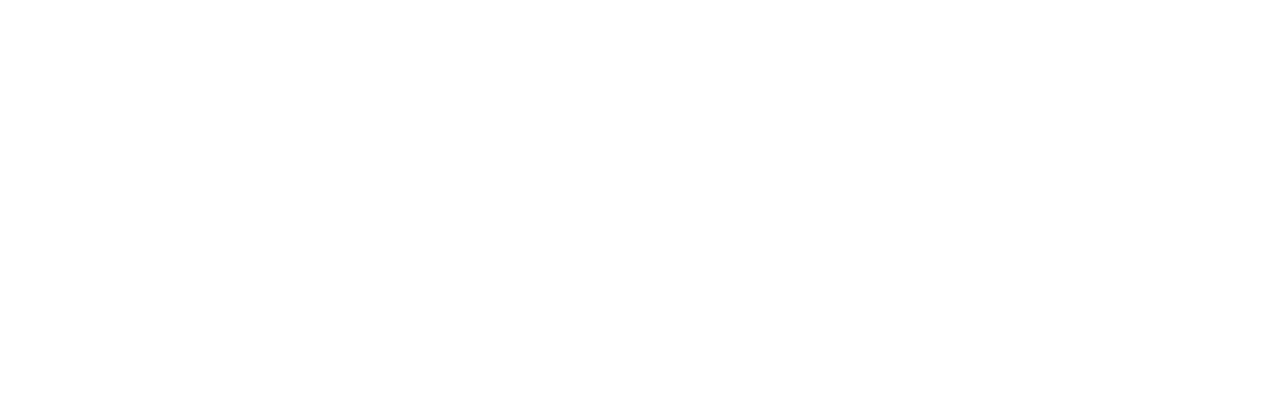 The Student