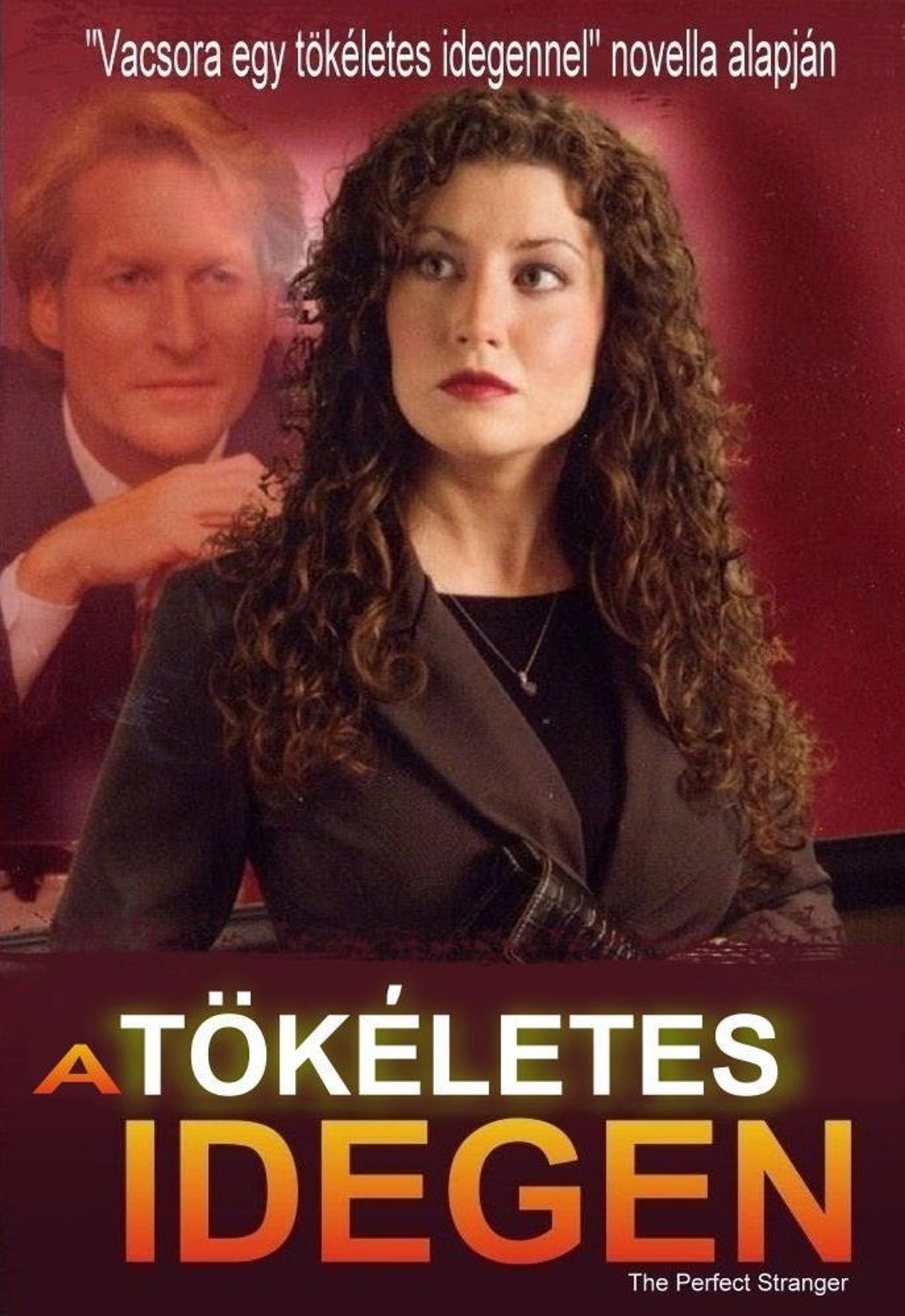 A tökéletes idegen – plakát 6