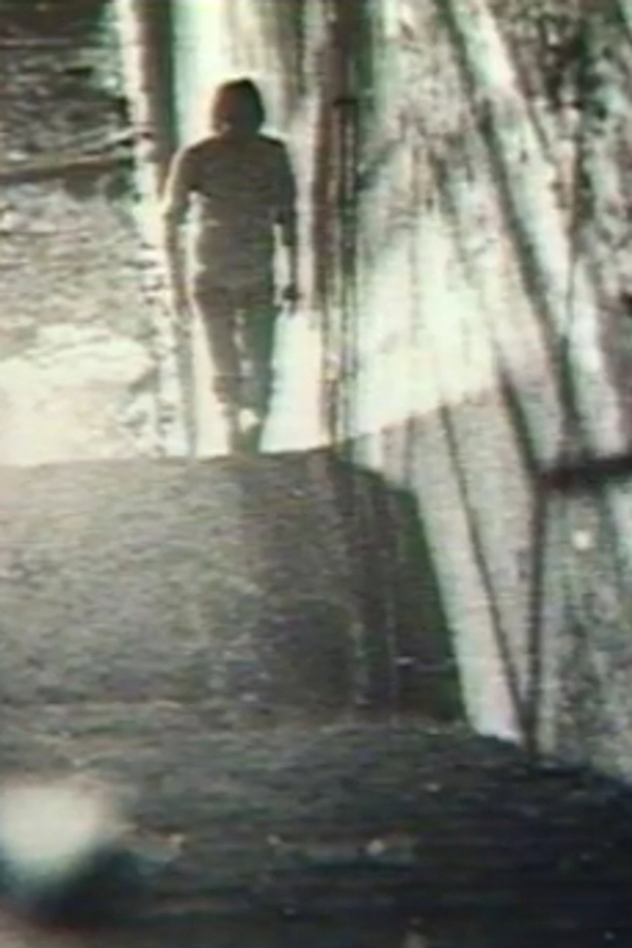 Monolithe filmaffisch